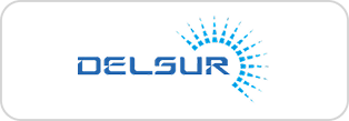 Delsur